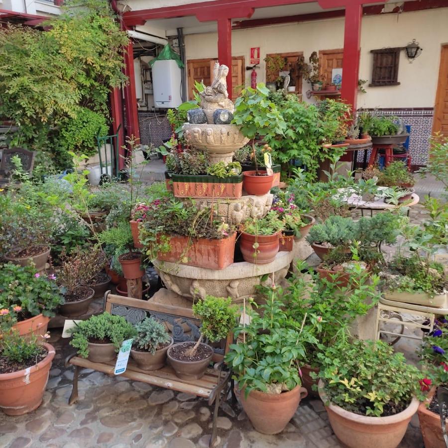 Hostal Castilla Aranjuez Kültér fotó