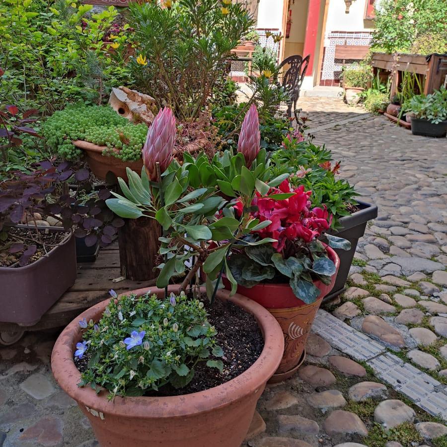 Hostal Castilla Aranjuez Kültér fotó